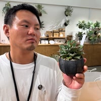 【10/24『縁日』 Live販売】アガベチタノタ　農大
