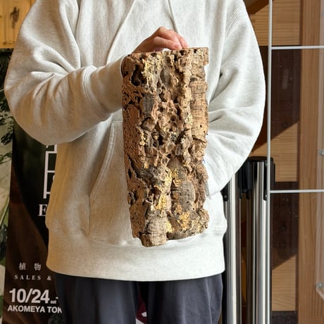 【現品】janka_06