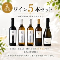 【お買い得】ワイン5本セット