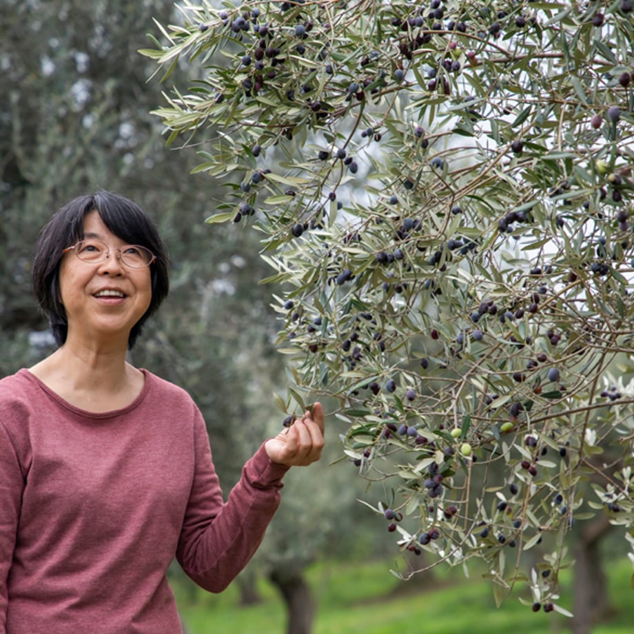 5d81c2366004fb0823eaef7d