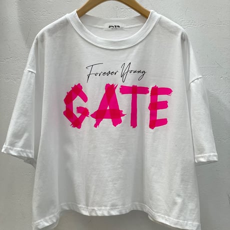 0902 【数量限定】GATE box tee/2カラー