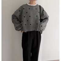 コンパクト丈ドット柄knit / gray