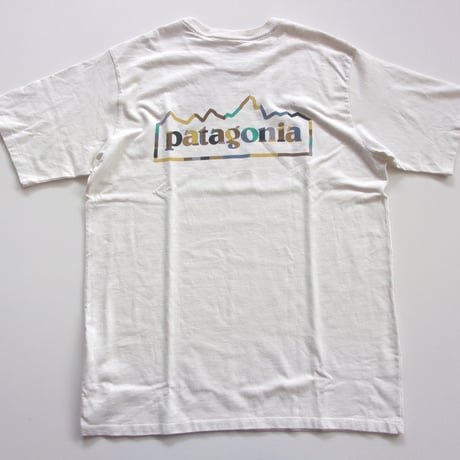 Patagonia M'S UNITY FITZ Responsibili Tee / パタゴニア メンズ・ロゴ・レスポンシビリティー