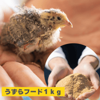 うずらフード １ｋｇ 成鶉用