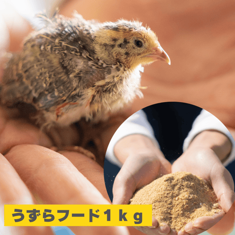 うずらフード １ｋｇ 成鶉用