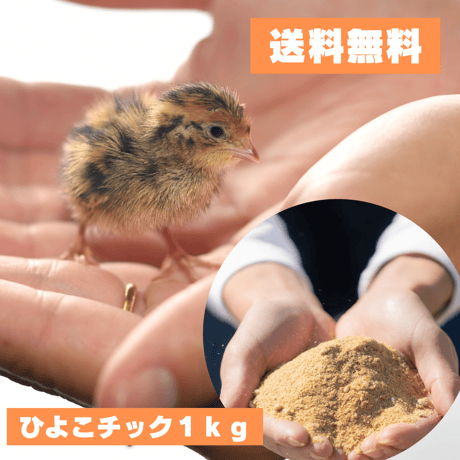 ひよこチック １ｋｇ 幼鶉用