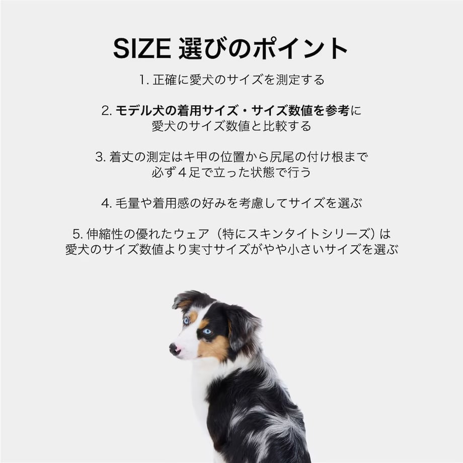 6a96a12bf325fc10e846e7d4