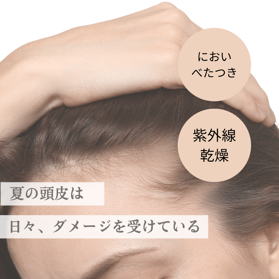 6662b7a4900a510035c42946