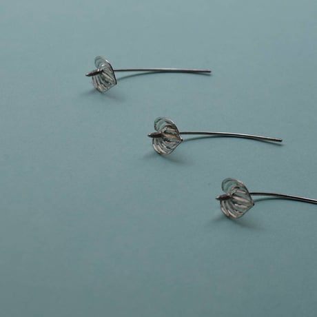 nooca mum pierce  [Anthurium]