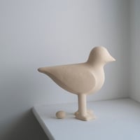 菊池俊治 かもめ