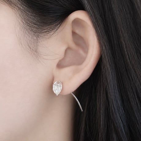 nooca mum pierce  [Anthurium]