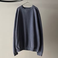 Authentic pigment blank sweat shirt