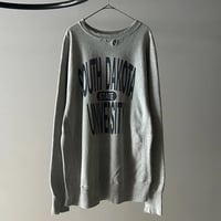 90s Champion reverseweave sweat shirt ″South Dakota State″