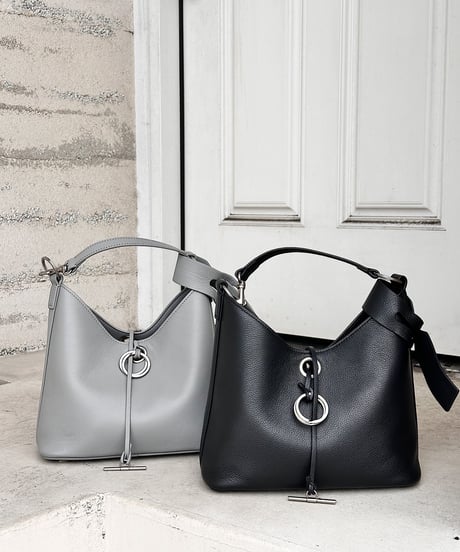 axis bucket bag E704