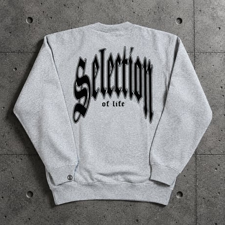 Selection of life. ARCH Logo Crew GRAY