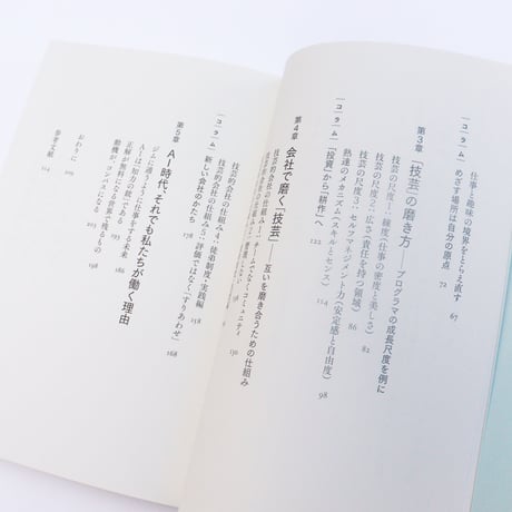 自分と社会をいい感じにする 仕事技芸論
