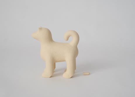 白い 遠くをみつめる犬(小)　菊池俊治
