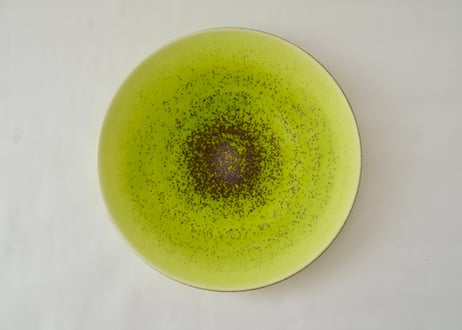 来週プール開き平皿LL  和田山真央