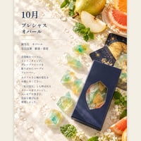 12カ月の琥珀糖【プレシャスオパール】