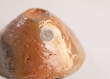自然釉緋色ぐい呑 Natural ash-glazed sake cup with scarlet tones　TC-29