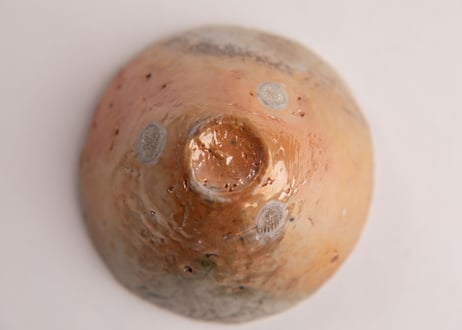 自然釉緋色ぐい呑 Natural ash-glazed sake cup with scarlet tones　TC-29