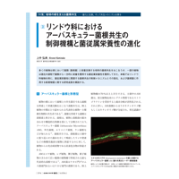 2026年9月発行号/特集/地球の緑を支える菌根共生/リンドウ科におけるアーバスキュラー菌根共生の制御機構と菌従属栄養性の進化(上中　弘典 氏)