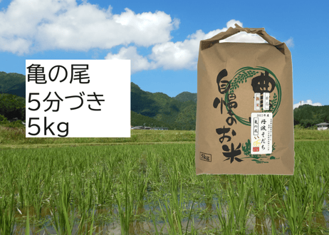 【新米・2026年産】自然栽培米『亀の尾』5kg