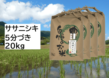 【新米・2026年産】自然栽培米『ササニシキ』20kg