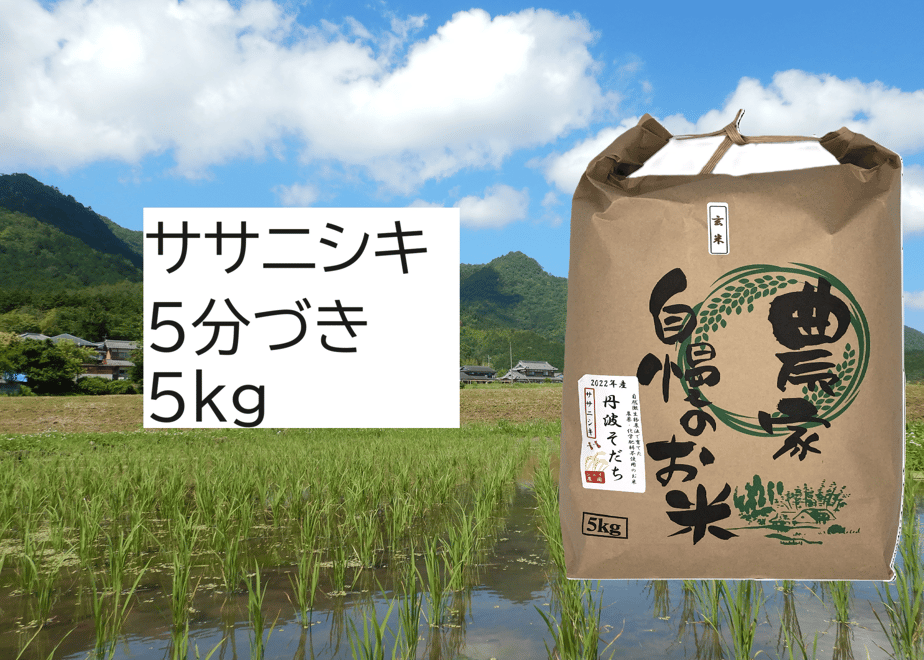 6ab374c29667139800e5887a