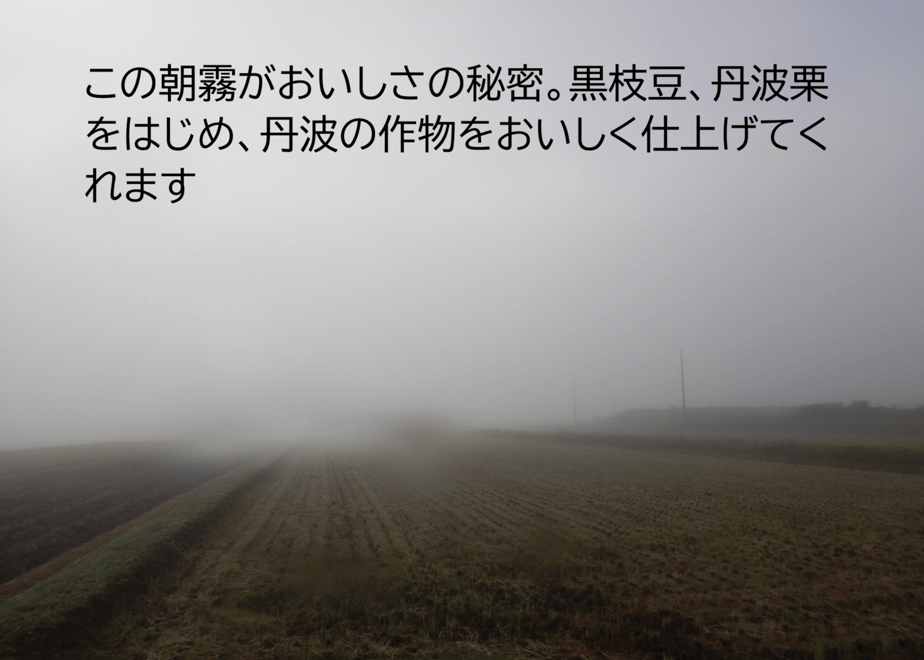 6ab374c29667139800e5887a