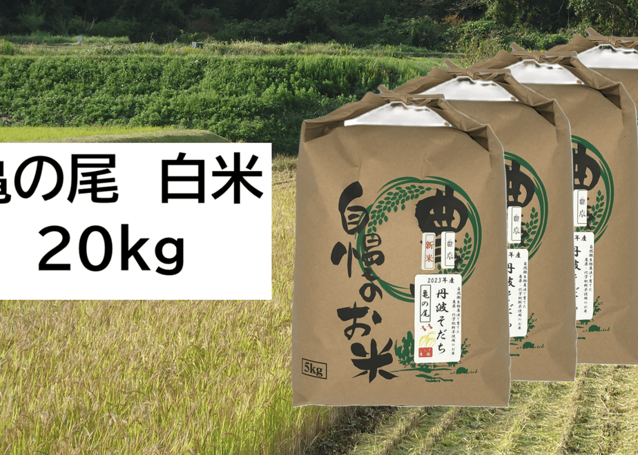 6ab3815b525ee40b9cc928b2