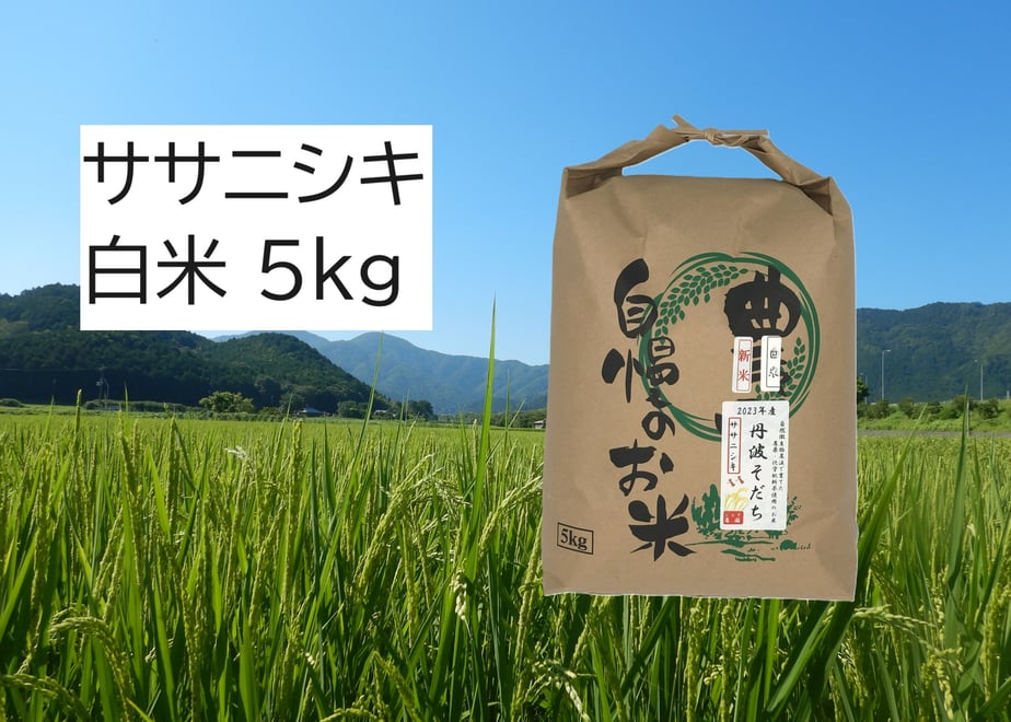 6ab374c29667139800e5887a