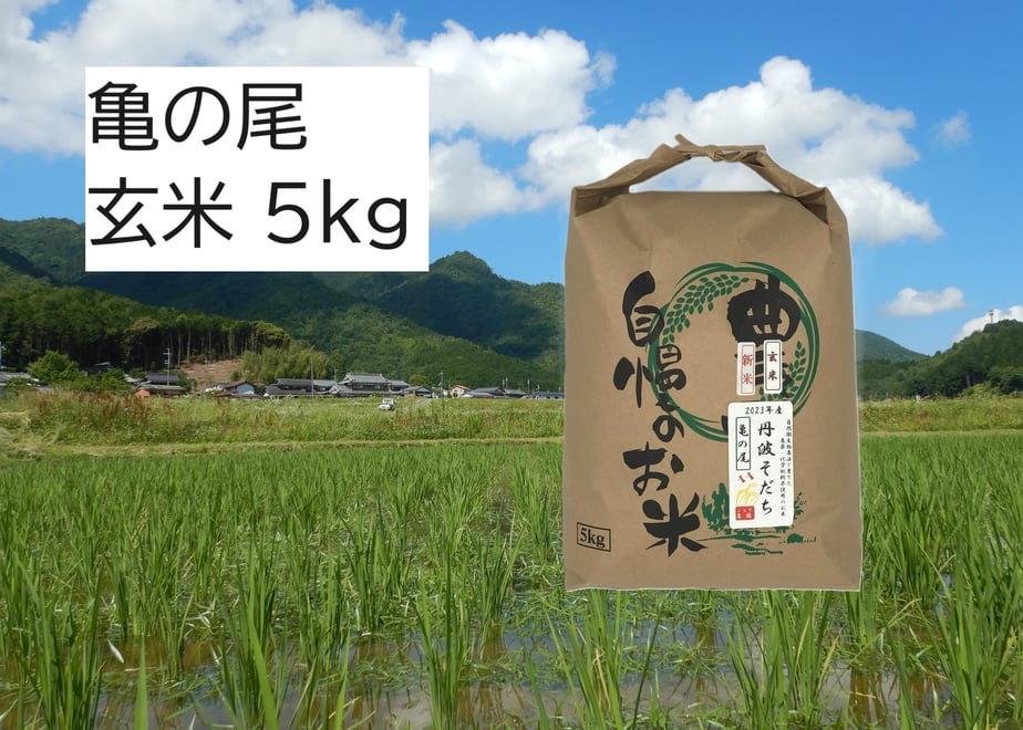 6ab37cb9774264a6a6e58887