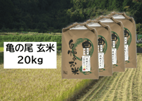 【新米・2026年産】自然栽培米『亀の尾』20kg