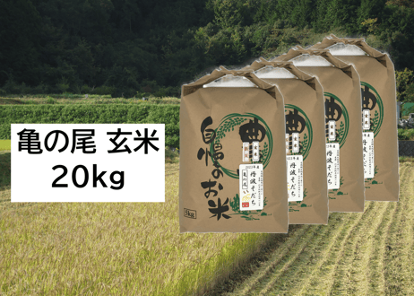 【新米・2026年産】自然栽培米『亀の尾』20kg