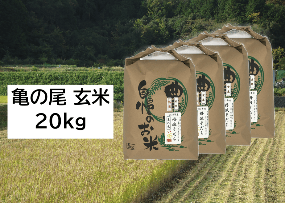 6ab3815b525ee40b9cc928b2