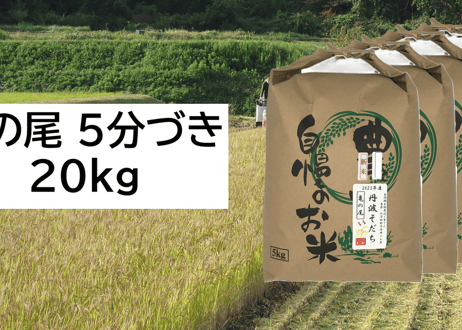 【新米・2026年産】自然栽培米『亀の尾』20kg