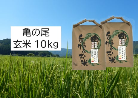 【新米・2026年産】自然栽培米『亀の尾』10kg