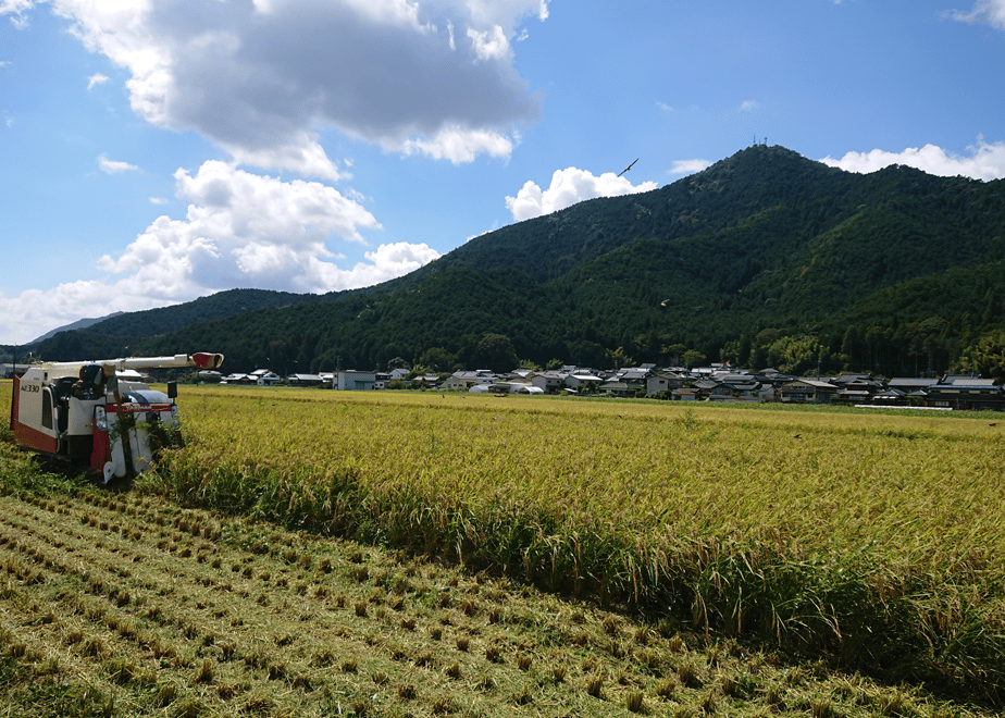 6ab3789c928e8d8eb95084cc