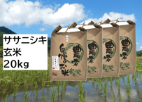 【新米・2026年産】自然栽培米『ササニシキ』20kg