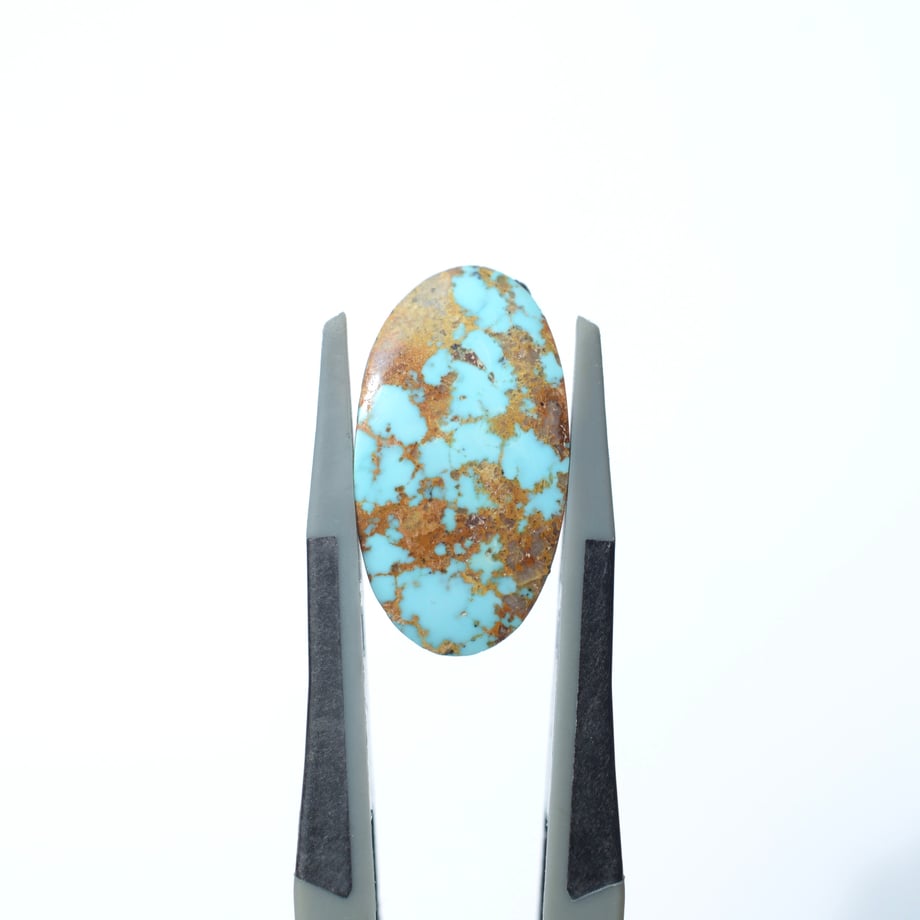 6a72a5c01c5df007712c32ec