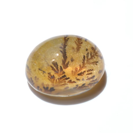 【自社研磨】デンドリティッククォーツ Dendritic Quartz N006