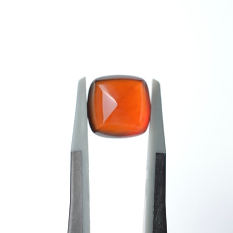 ガーネット Garnet N005