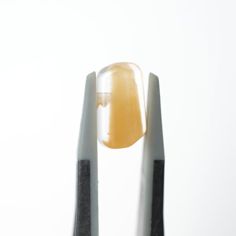 アンフィボールインクォーツ Amphibole in Quartz N039