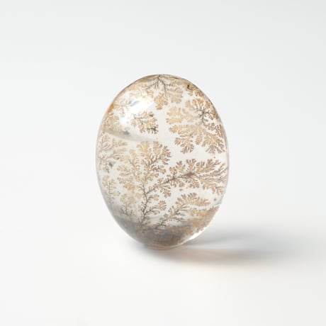 【自社研磨】デンドリティッククォーツ Dendritic Quartz N031