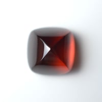 ガーネット Garnet N002