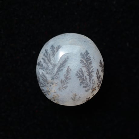 デンドリティッククォーツ Dendritic Quartz N028