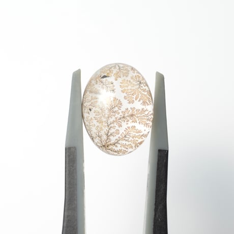 【自社研磨】デンドリティッククォーツ Dendritic Quartz N031