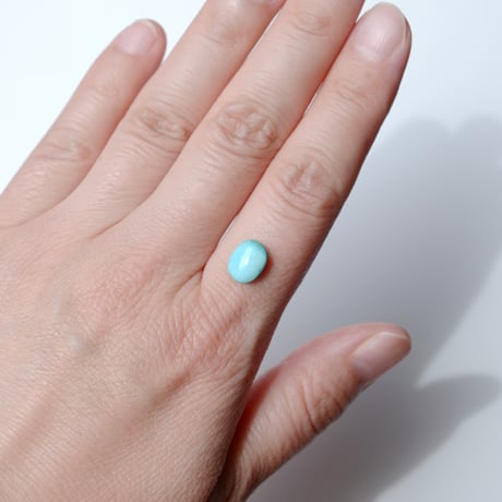 ペルシャン・ターコイズ Persian Turquoise 058