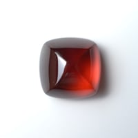 ガーネット Garnet N005
